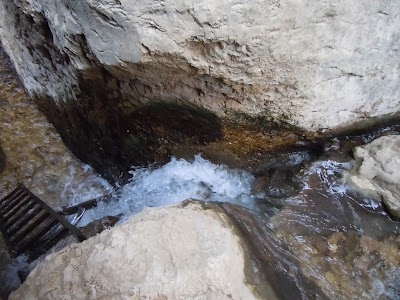 DSCN3994.jpg