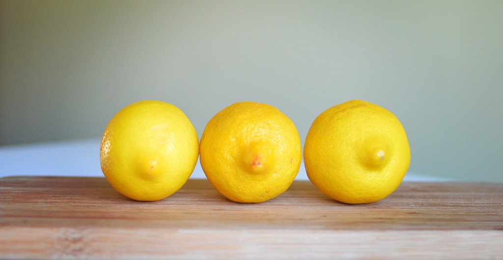 [lemons%2520in%2520a%2520row%2520amy%2520renea%2520a%2520anestforallseasons.jpg]