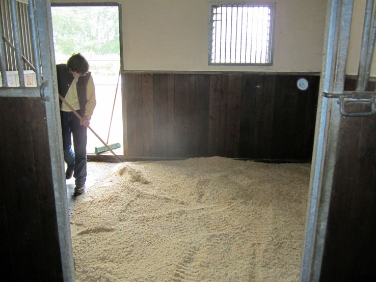 [IMG_0859x%255B2%255D.jpg]