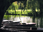 Sprachaufenthalt Cambridge EC