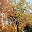 DSC_0342.jpg