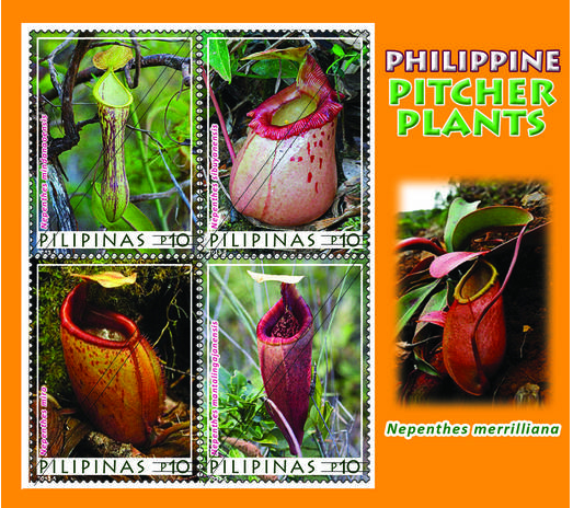 [image%255B4%255D.png]