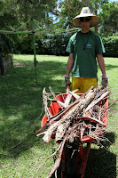 Moving the wood