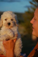 Soo cute lovely Tinker Bell