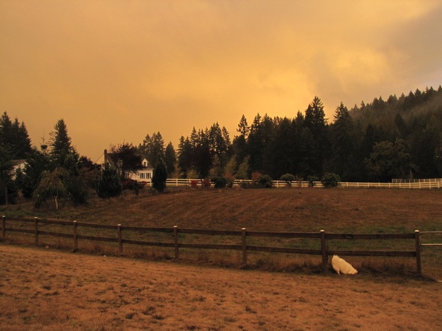 [IMG_1666%255B4%255D.jpg]