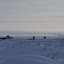DSC_0321.JPG