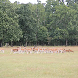 IMG_2784.JPG