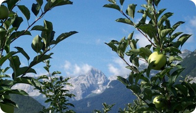 trentino-mele-val-di-non