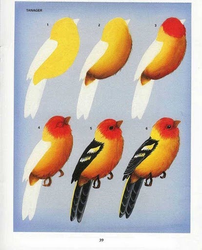 [OgAAABIXpFrm_PCHCMvIDyBi7mQHuB5_7VzOc23AgUcLLKBc42phsjh1dRA99RR97QQ8t0p21Rp1lD3Y6hKKw3Rfs2gAm1T1UIQlnPPhD22a-weBNTaT8JaDG6P_%255B5%255D.jpg]