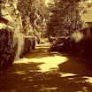 DSCF0594_filtered_sepia.JPG