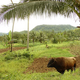 DSC01535.JPG