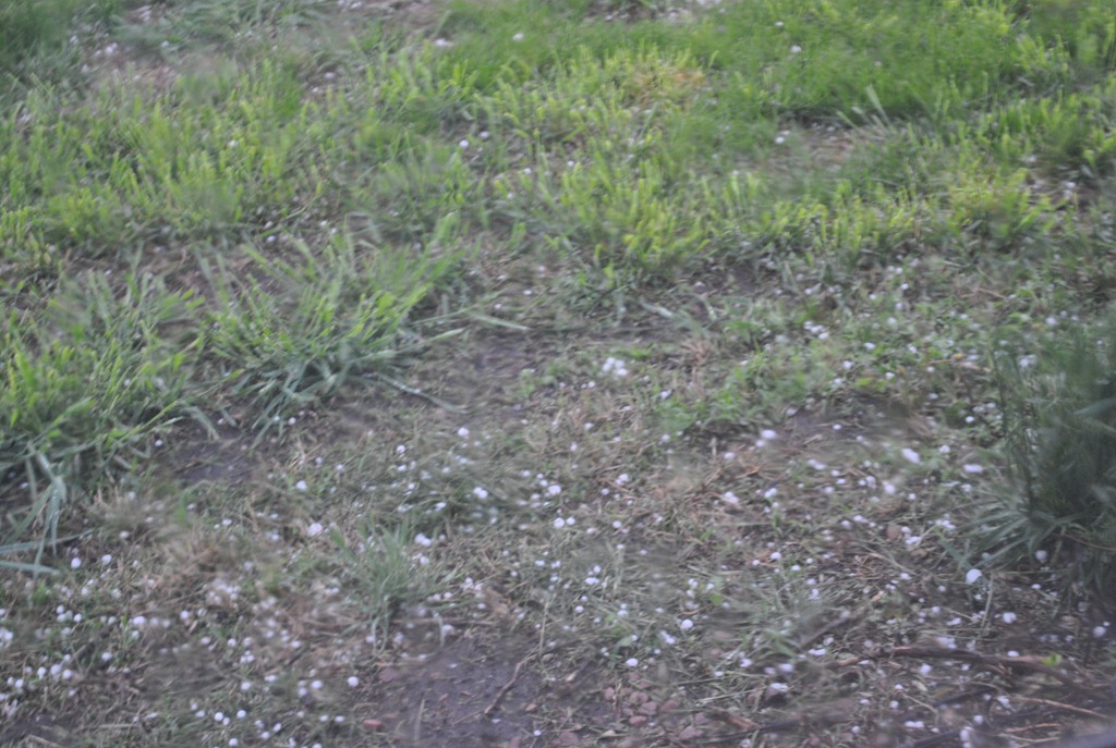 [South-Dakota-Missions-Trip-0494.jpg]