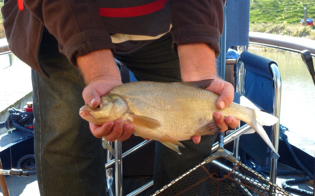 [Steve%2520and%2520Bream%255B4%255D.jpg]