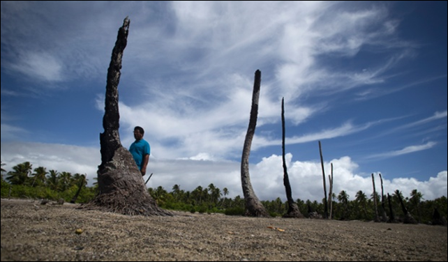 Local priest Father Martin Everi walks through what is left of the taro and banana fields in the village of Tebunginako, on Abaiang Island, Kiribati. Salinity from rising seal level has made the soil infertile and unable to be used. 'Nature cannot be stopped, I feel sorry for my people', he says. Photo: Mike Bowers
