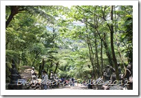 IMG_3110 IMG_3110