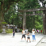 toshogu shrine in Nikko, Japan by Matt van Vuuren in Nikko, Totigi (Tochigi) , Japan