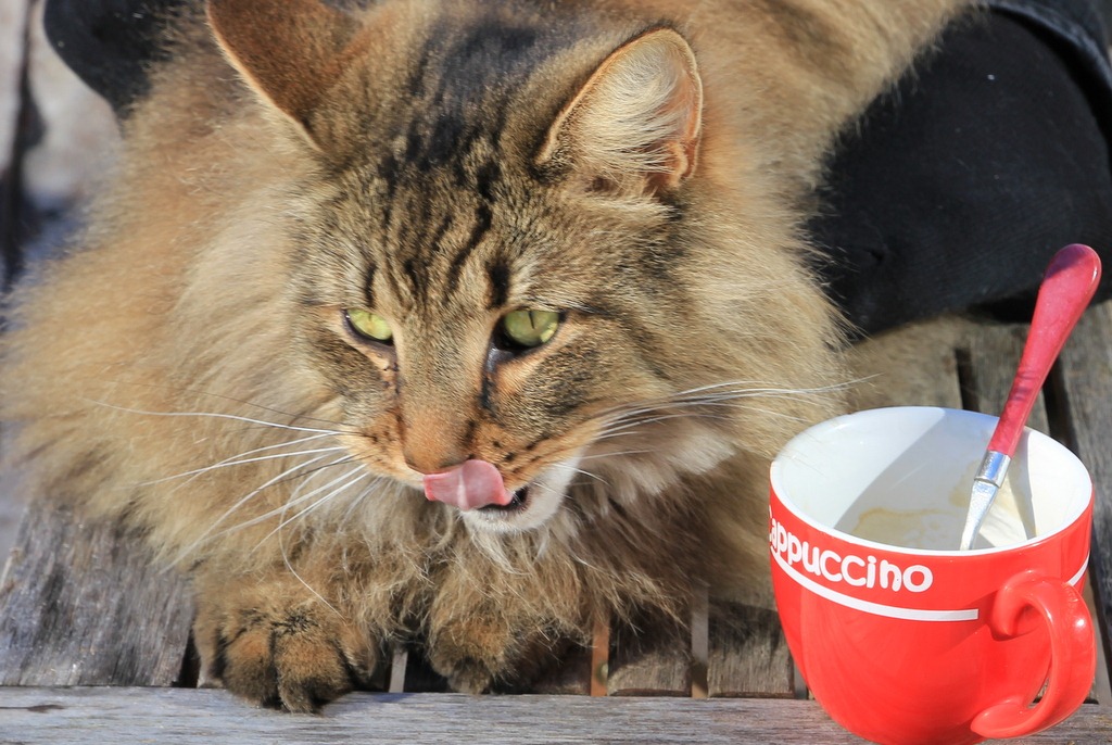 [IMG_9929%255B3%255D.jpg]