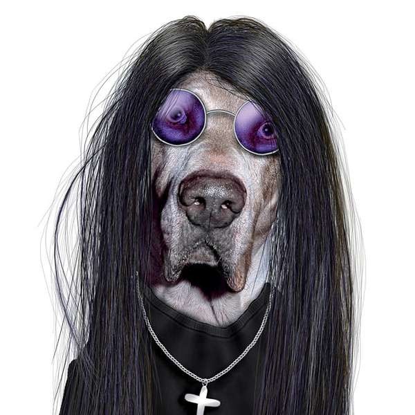 [perros%2520dsifrazados%2520%25288%2529%255B3%255D.jpg]
