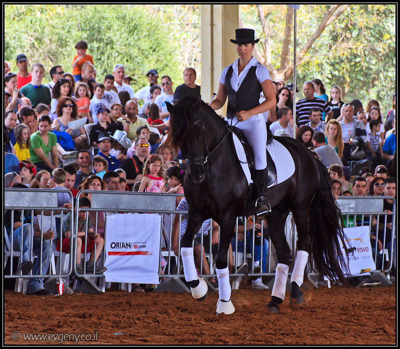 il/Фото: Stallion Show 2011 (20110416 stllion show 047 2150)