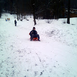 Sledging in Bonstetten