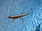 IMG_20120105_121953.jpg