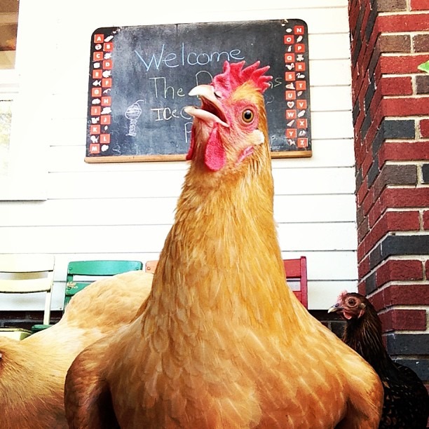 [meg%255B2%255D.jpg]