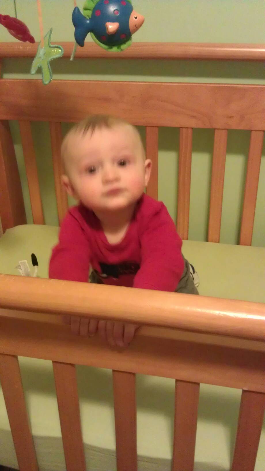 six month old