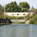 IMG_8052.JPG