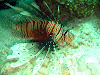  Koh Lipe Resimleri Fotoğrafları