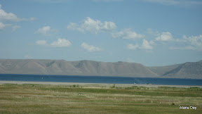 IMG_4263.jpg