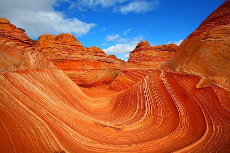 The_Wave_Coyote_Buttes_Arizona1