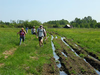 SAM_5507.JPG Photo