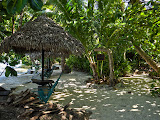 Here's a walkway underneath the palm trees, between the different bungalows of the hotel. Madagascar6 - 018.jpg