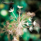 blog-9952.jpg
