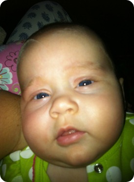 IMG_0672 IMG_0672