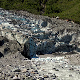 South Island - Fox Glacier