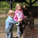 DSCN6768.JPG
