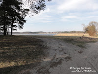 dsc07262.jpg
