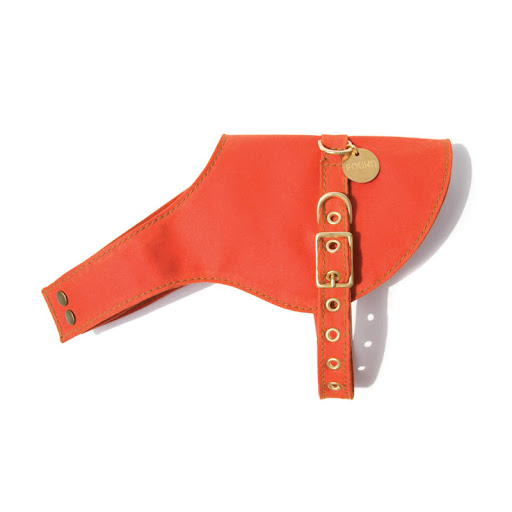 As you know orange is one of my favorite colors -- I have to get this for Sharkey. (foundmyanimal.com)