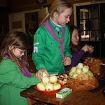 IMG_4869.JPG