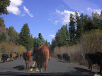 DSCN4630.JPG
