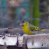 Dsc_0020sijsjan