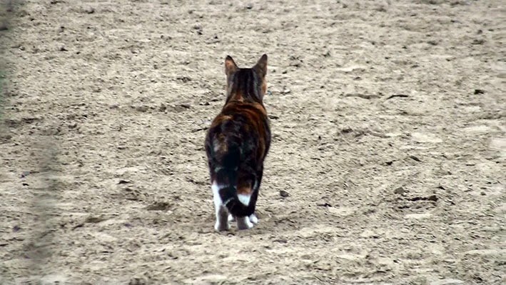 [20140905153450-%25281%2529%255B2%255D.jpg]