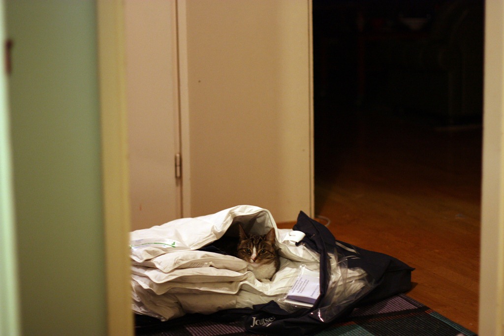[IMG_2481%255B4%255D.jpg]