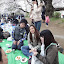 DSC02195.JPG