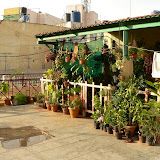 Terrasse chez Niya et Vijay