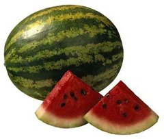 23rmelon 23rmelon