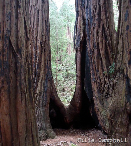 [DSC08727_edited-1%255B9%255D.jpg]