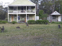 IMG_20121124_183735.jpg Photo