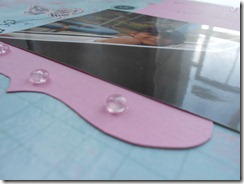 DSCN0894r